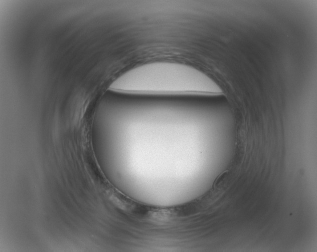 X0000082180079200701191103