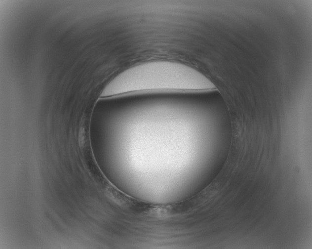 X0000082180080200701191103
