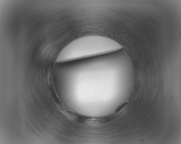 X0000082180082200701191103