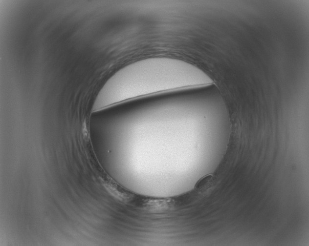 X0000082180089200701191104