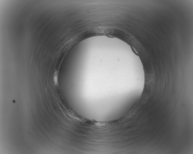 X0000082180095200701191104
