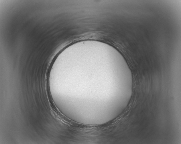 X0000082180100200701191103