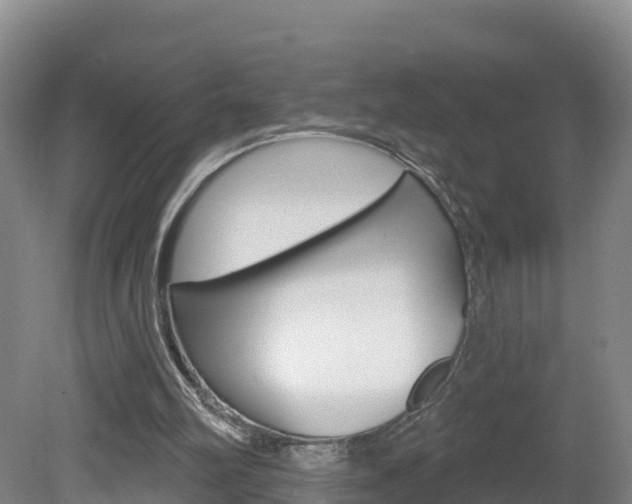 X0000082180102200701191103