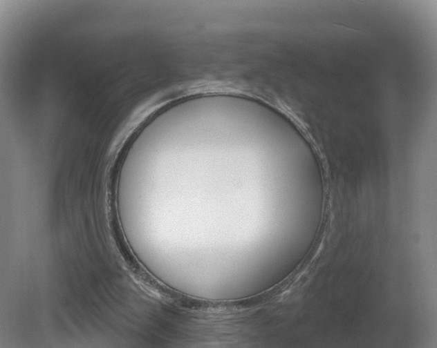 X0000082180103200701191103