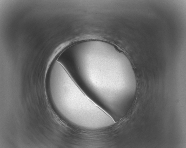 X0000082180104200701191103