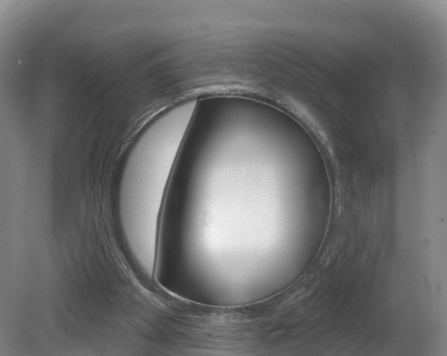 X0000082180105200701191103