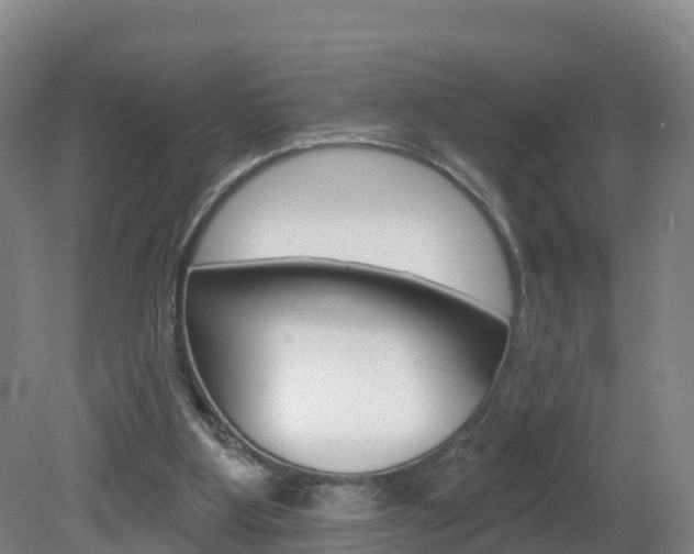 X0000082180107200701191103