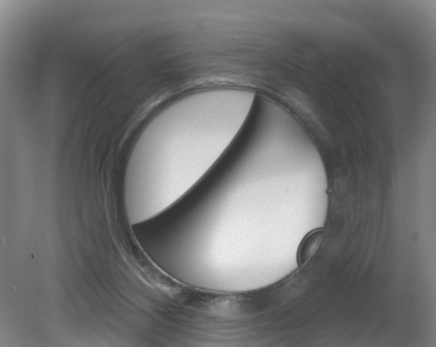 X0000082180116200701191103