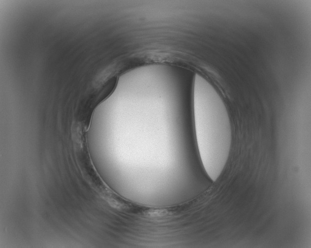 X0000082180121200701191102