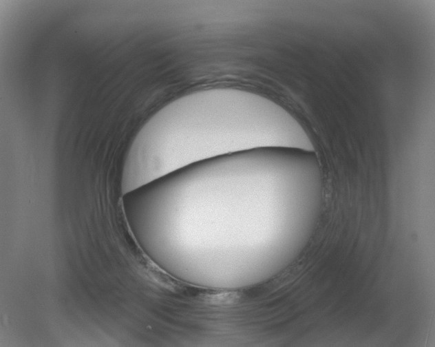 X0000082180122200701191102