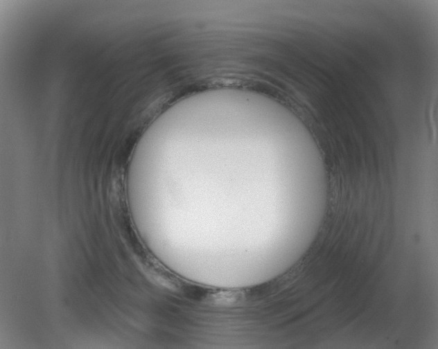 X0000082180126200701191102
