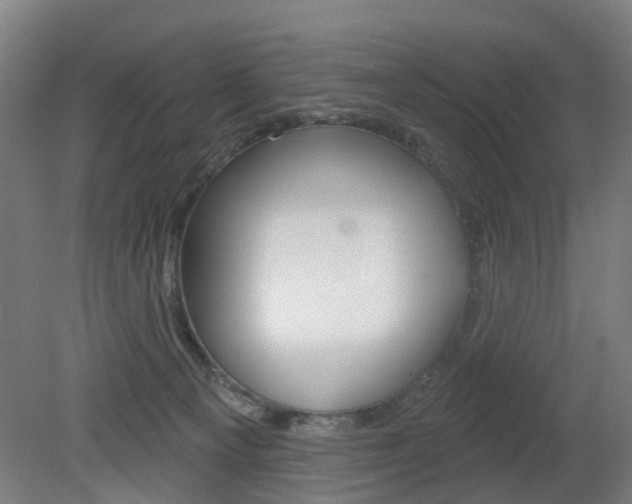 X0000082180129200701191102