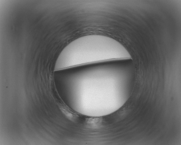 X0000082180135200701191102