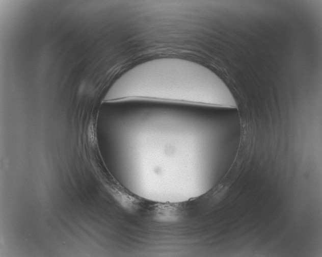 X0000082180143200701191102