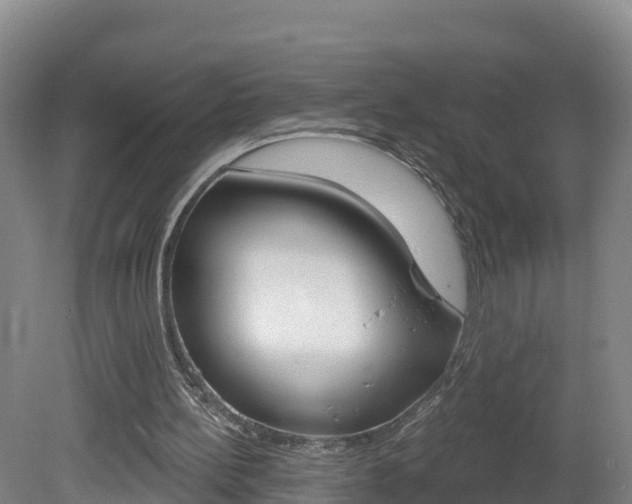 X0000082180148200701191101