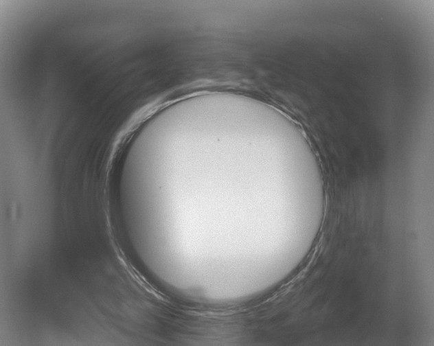 X0000082180149200701191101