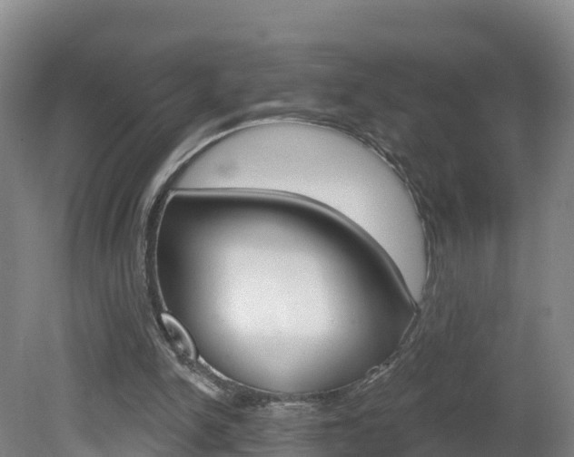 X0000082180150200701191101