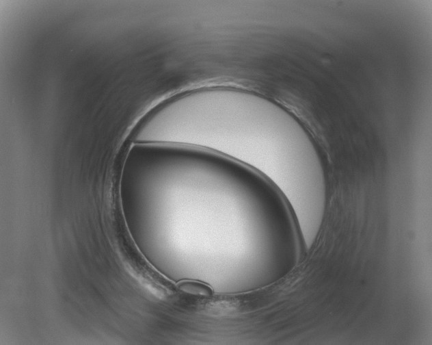 X0000082180156200701191101