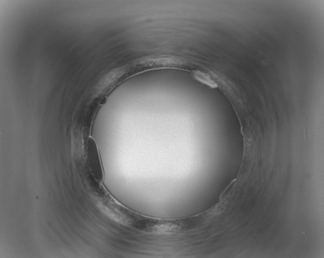 X0000082180158200701191101