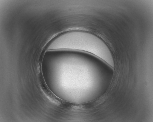 X0000082180160200701191102