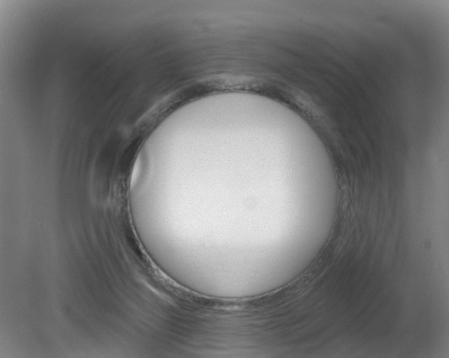 X0000082180165200701191102