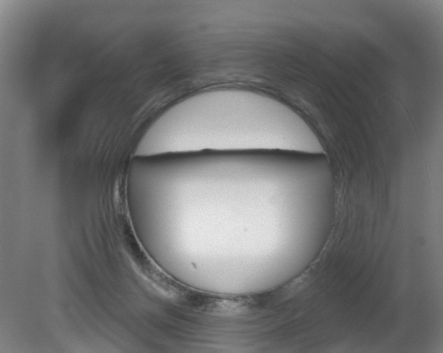 X0000082180166200701191102