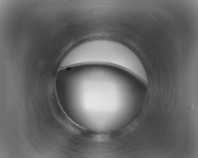 X0000082180168200701191102