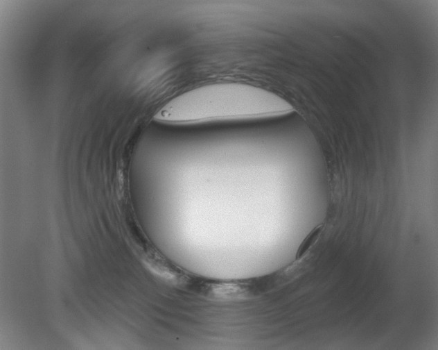 X0000082180183200701191102