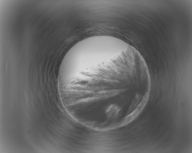 X0000082180187200701191102
