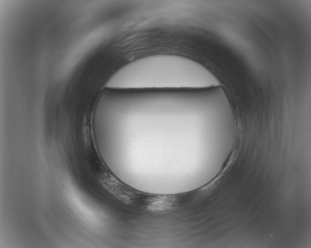 X0000082180191200701191102