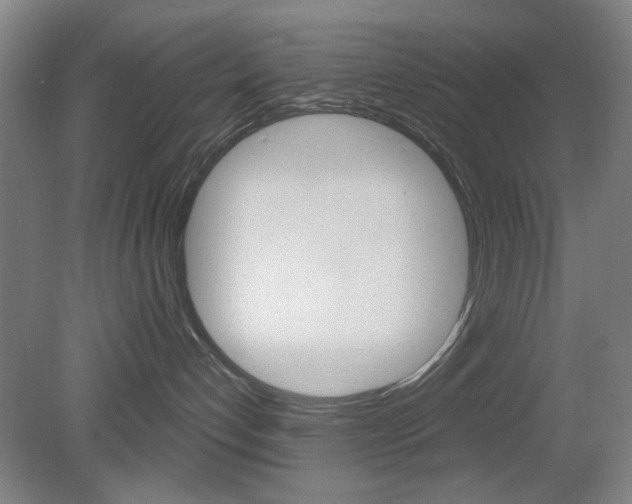 X0000082180192200701191102
