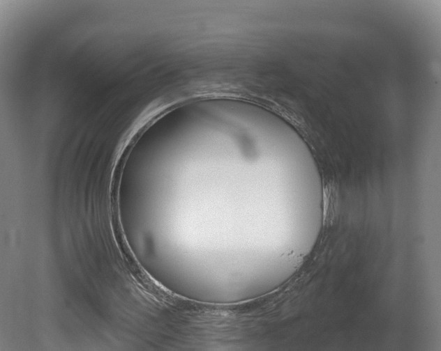 X0000082180195200701191101