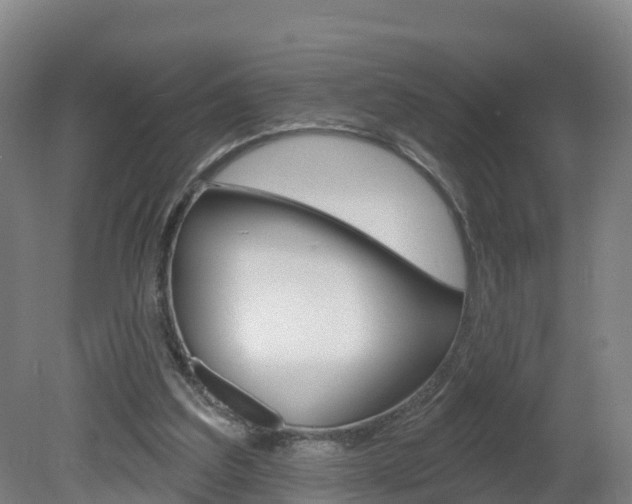 X0000082180203200701191101