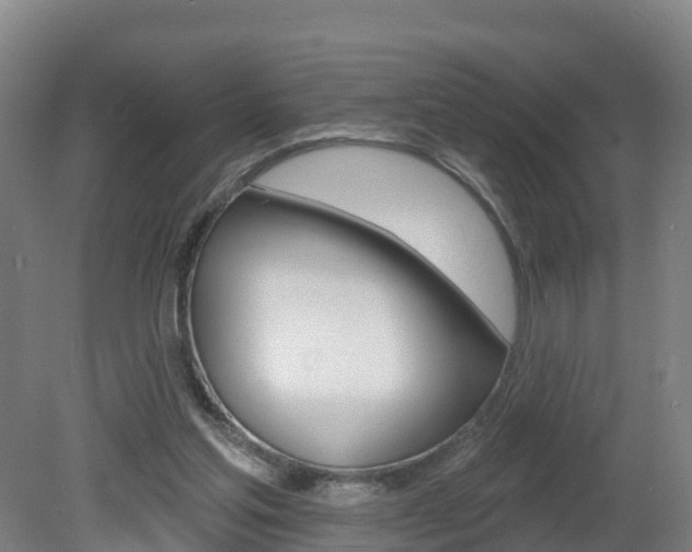 X0000082180205200701191101