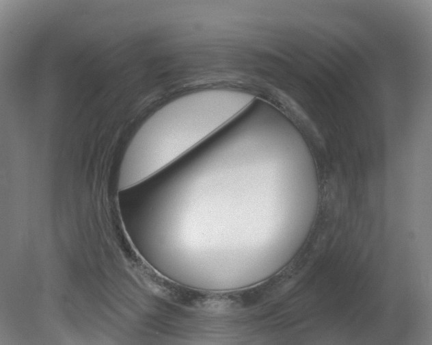 X0000082180209200701191101