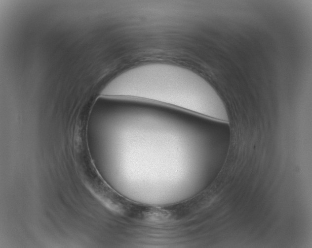 X0000082180215200701191101