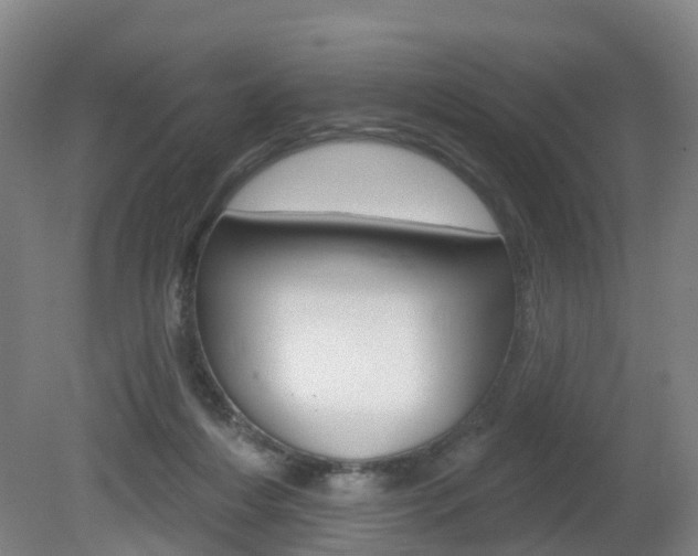 X0000082180216200701191101