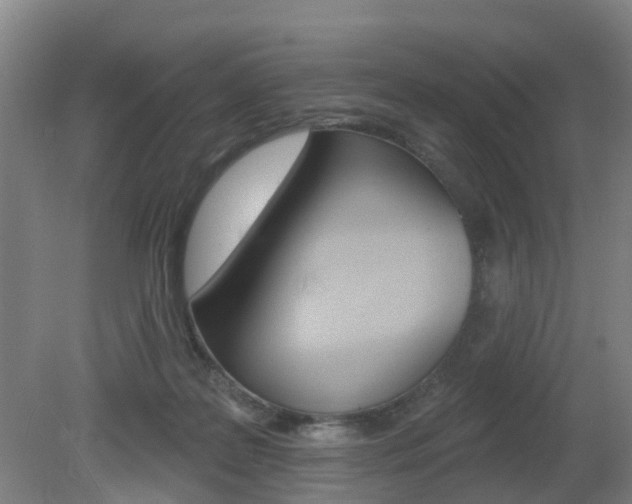 X0000082180219200701191101
