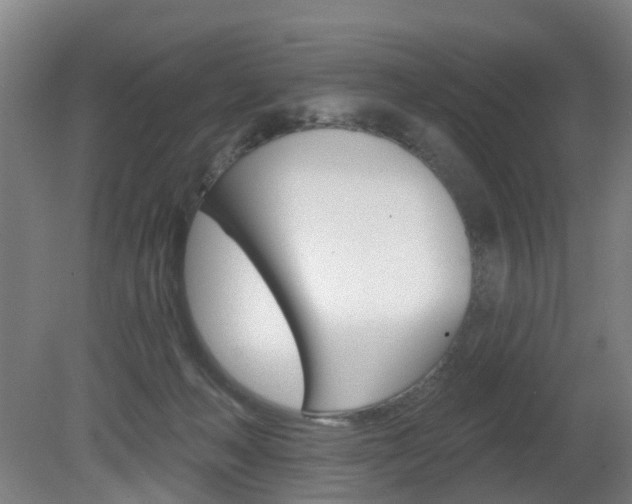 X0000082180222200701191101