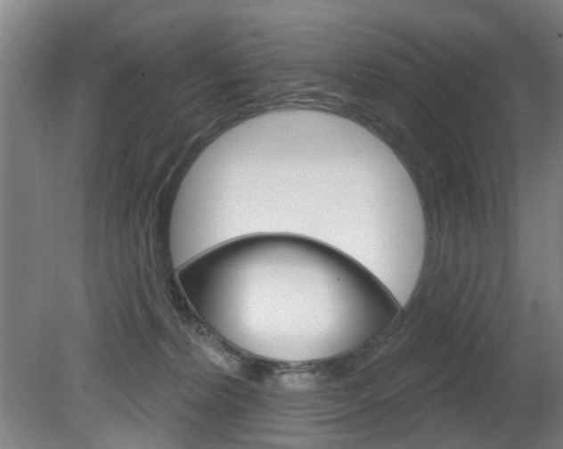 X0000082180228200701191101