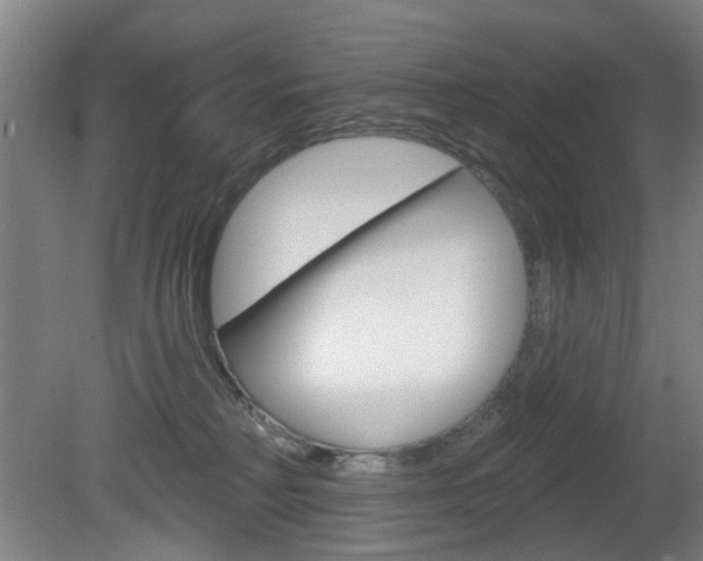 X0000082180230200701191101