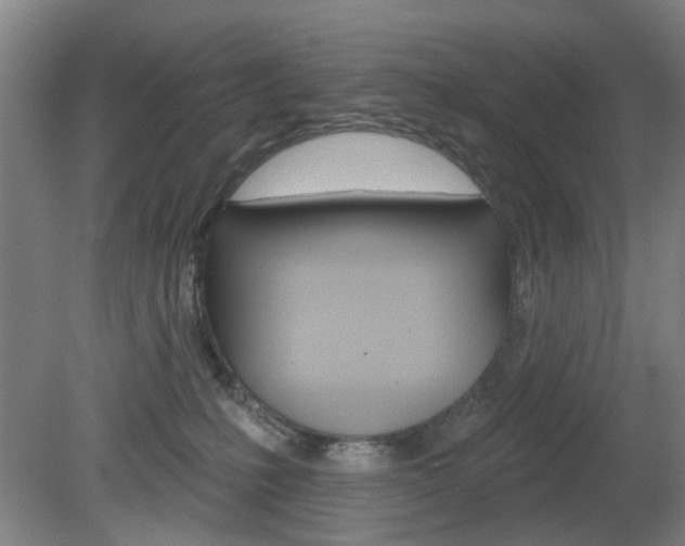 X0000082180231200701191101