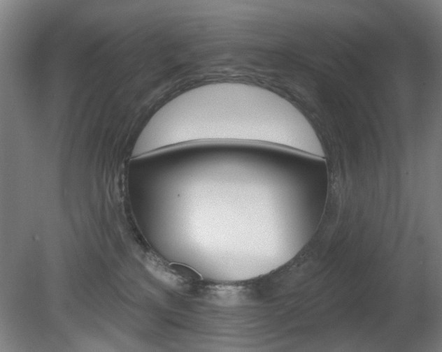 X0000082180233200701191101