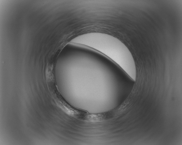 X0000082180239200701191100