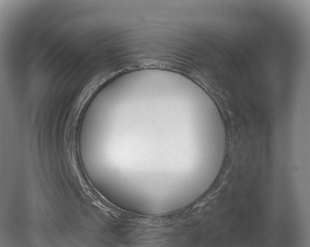 X0000082180241200701191100