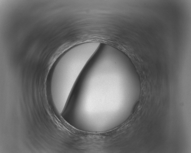 X0000082180242200701191100