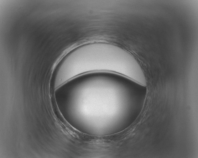 X0000082180244200701191100