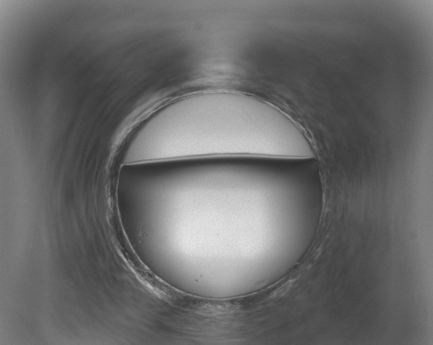 X0000082180245200701191100