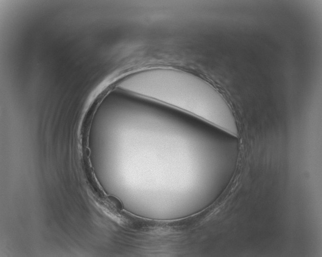 X0000082180246200701191100