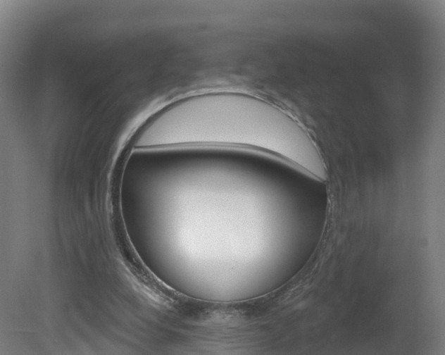 X0000082180248200701191100